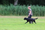 IMG_5202.jpg