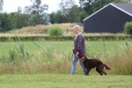 IMG_5203.jpg