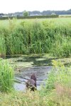 IMG_5647 Groot.jpeg