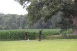 IMG_5740 Groot.jpeg