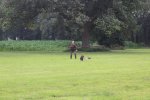IMG_5750 Groot.jpeg
