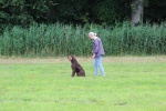 IMG_5229.jpg