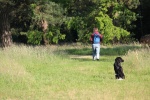 IMG_4414-1024x682.JPG