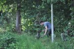 Afbeelding van WhatsApp op 2025-07-14 om 10.08.00_7133478d.jpg
