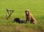 DSC_0076.jpg