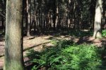 DSC_0092.jpg