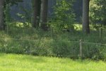 DSC_0105.jpg