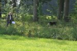 DSC_0106.jpg