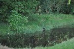 DSC_0154.jpg