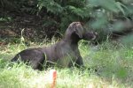 DSC_0174.jpg