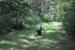 DSC_0195.jpg