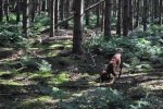 DSC_0215.jpg