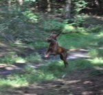 DSC_0216.jpg