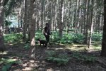 DSC_0217.jpg