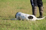 IMG_4446-1024x682.JPG