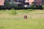 IMG_4457-1024x682.JPG