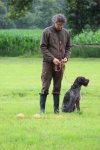 IMG_5296 Groot.jpeg