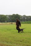 IMG_5300 Groot.jpeg