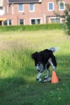 IMG_4480-1024x1536.JPG