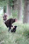 IMG_5448 Groot.jpeg