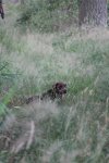 IMG_5464 Groot.jpeg