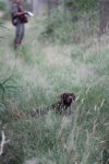 IMG_5473 Groot.jpeg