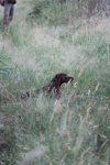 IMG_5475 Groot.jpeg