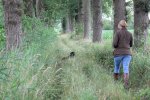 IMG_5515 Groot.jpeg