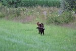 IMG_5574 Groot.jpeg